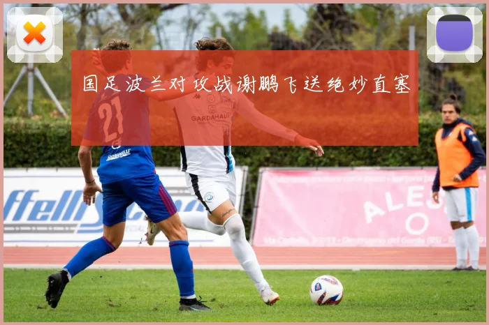 国足波兰对攻战谢鹏飞送绝妙直塞