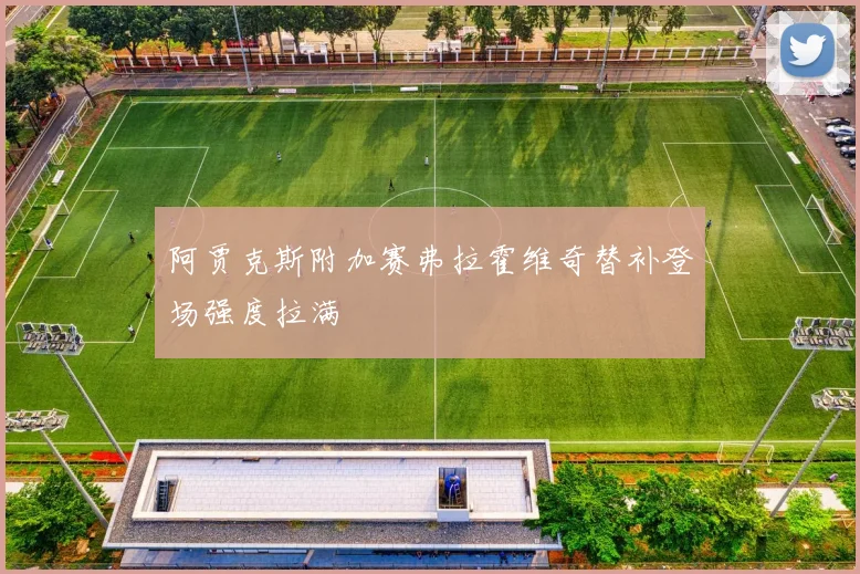 阿贾克斯附加赛弗拉霍维奇替补登场强度拉满