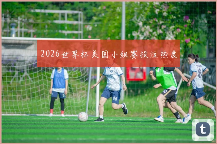 2026世界杯美国小组赛投注热度