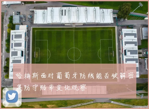 哈梅斯面对葡萄牙防线能否破解密集防守赔率变化观察