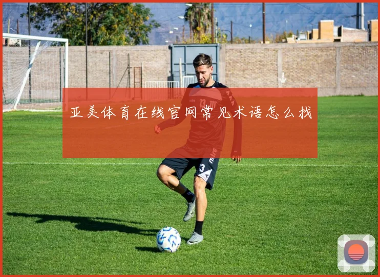 亚美体育在线官网常见术语怎么找
