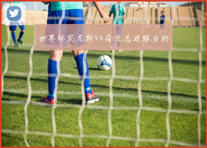 世界杯突尼斯vs荷兰总进球分析