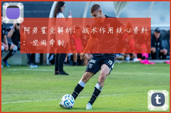 阿劳霍全解析：战术作用核心资料：空间牵制