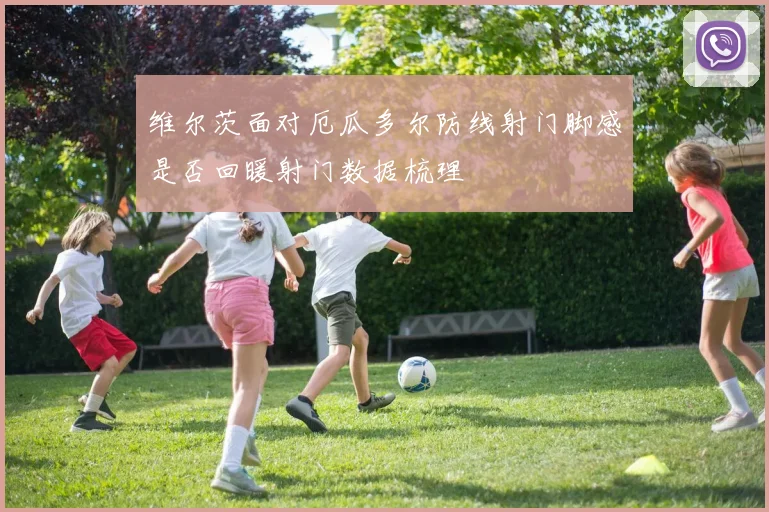 维尔茨面对厄瓜多尔防线射门脚感是否回暖射门数据梳理