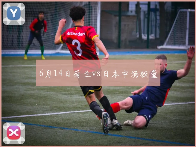 6月14日荷兰vs日本中场较量